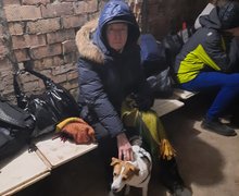 Фалькович і пес Руді в укритті