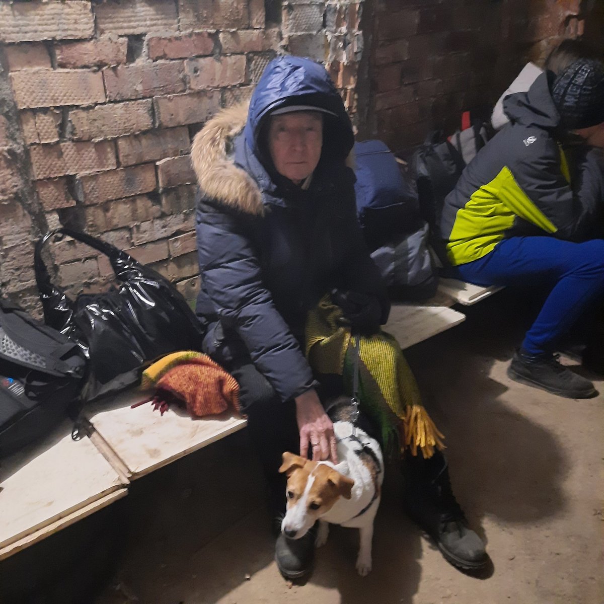 Фалькович і пес Руді