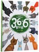 Вдовиченко 36 і 6